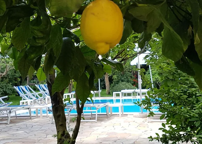 Hotel Tourist Sorrento
